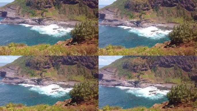 在夏威夷考艾岛基拉韦厄角的岩石海岸上，海鸟在万向台上急速飞行。4K 60 FPS慢动作