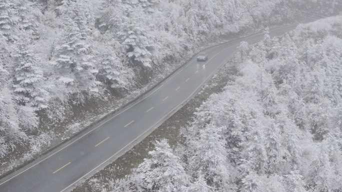 大瓦山森林下雪冬季氛围风景航拍