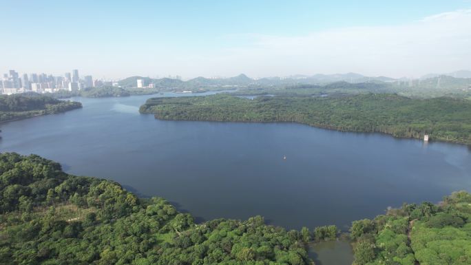 【正版素材】深圳西丽水库