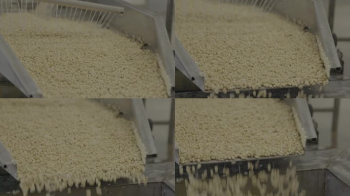 工厂机器洗豆子