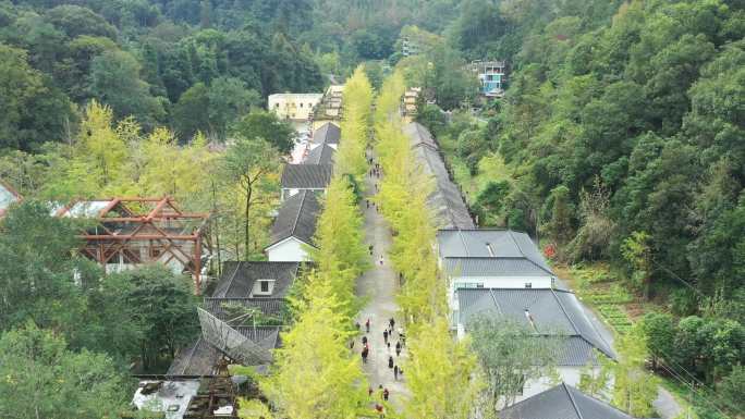 中国广东省韶关市南雄市帽子峰森林公园景区