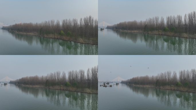 航拍襄阳汉江湿地候鸟群水鸟飞鸟自然风光