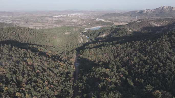 航拍俯瞰山东省昆嵛山观音寺山林防火通道