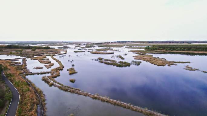 【4K】吉林莫莫格自然湿地保护区