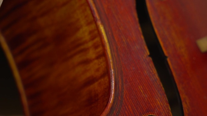 一个精美制作的棕色大提琴的特写视图与休息的法国弓。