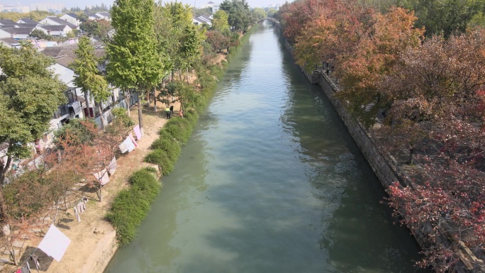 【空镜素材】充满秋意的道路 秋天