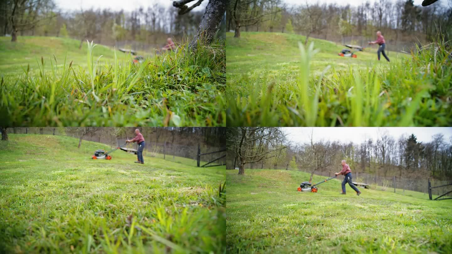 老人在林地后院修剪草坪