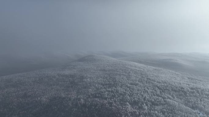 冷空气笼罩的林海雪原黎明