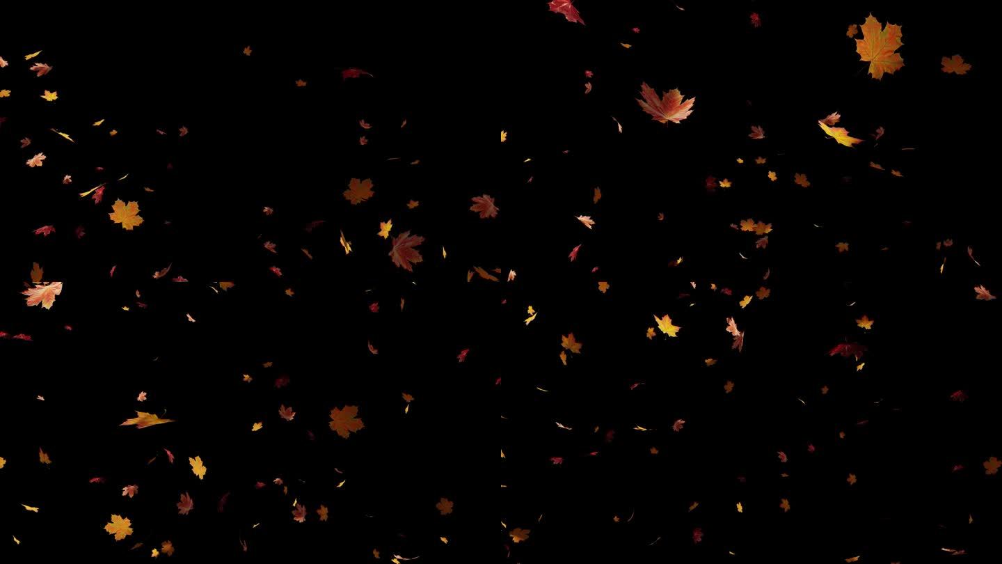 枫木浮动元件枫叶飘起动画背景