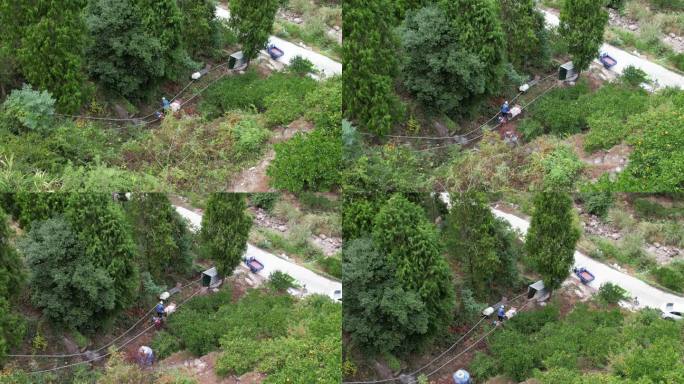 蜜橘大山深处柑橘种植基地涌泉