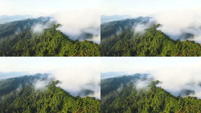 空中无人机拍摄的早晨雨林，有很多雾和薄雾沿着山脊流动