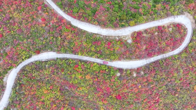 航拍山间道路汽车行驶在山路上