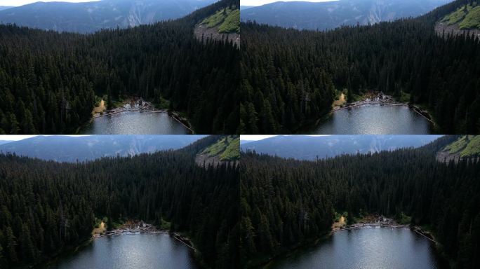 森林覆盖的山间湖泊鸟瞰图