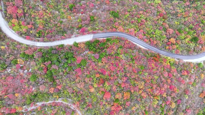 航拍山顶蜿蜒曲折道路