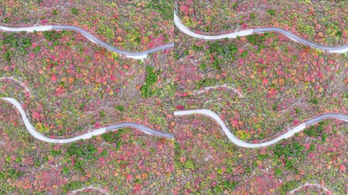 航拍山顶蜿蜒曲折道路