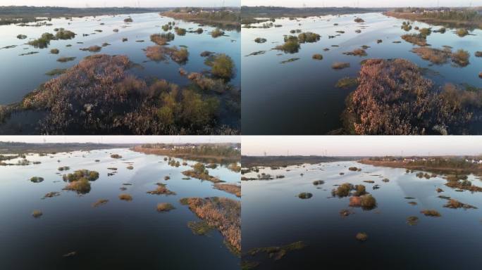 淠河国家湿地公园（赵家嘴段）漫游航拍全景