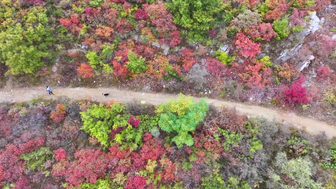 航拍行走在山间小路上