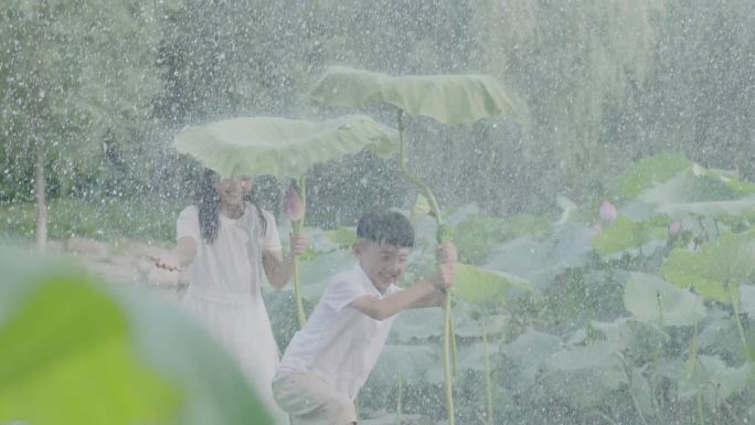 姐弟俩荷花下雨升格