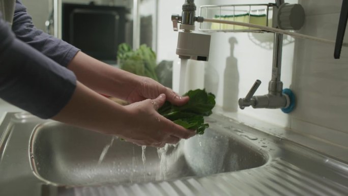 洗蔬菜洗菜盆节约用水家庭主妇