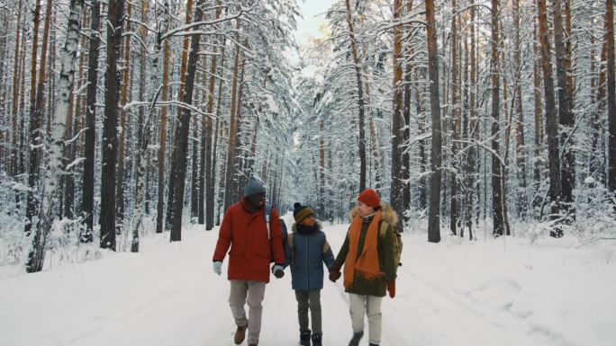 妈妈、爸爸和儿子走在大森林里的雪路上