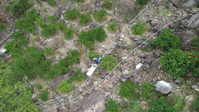 蜜橘大山深处柑橘种植基地涌泉