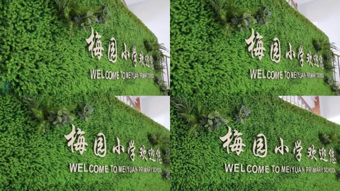 梅园小学空镜 学校 深圳 上学 环境