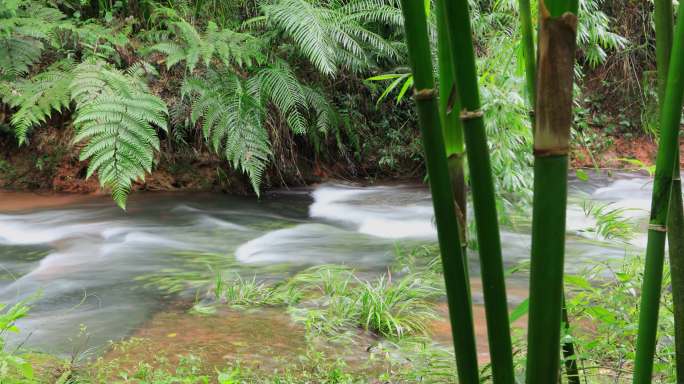 绿色意境 唯美绿色 清溪 溪流 延时摄影