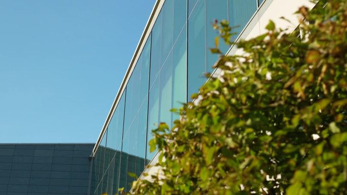 现代建筑的弧形玻璃立面，在晴朗的天空下，树叶在前景。