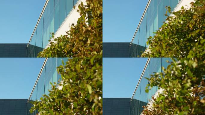 现代建筑的弧形玻璃立面，在晴朗的天空下，树叶在前景。