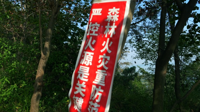 森林防火标语
