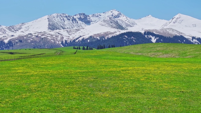 航拍新疆美丽的雪山和草原
