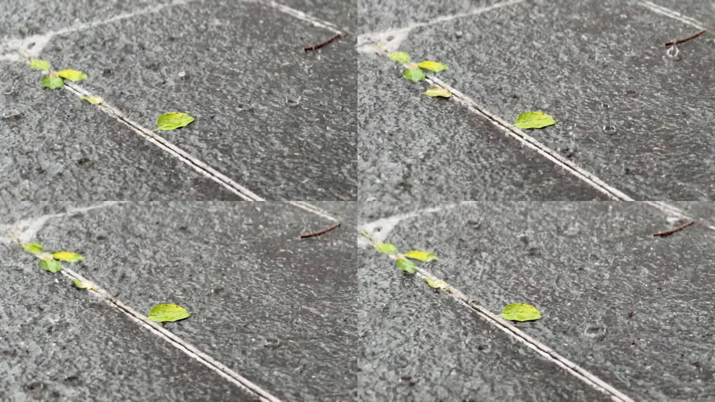 暴雨天气路面积水雨滴雨水大雨