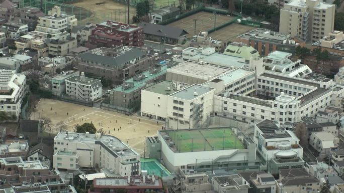 东京，日本:学校鸟瞰图。
