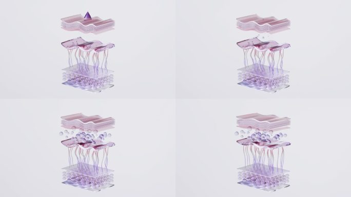 补水细胞充盈修复吸收渗透分子