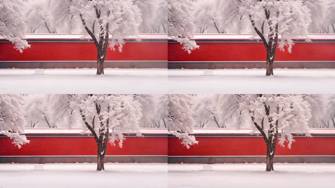 故宫紫禁城冬天雪景空镜