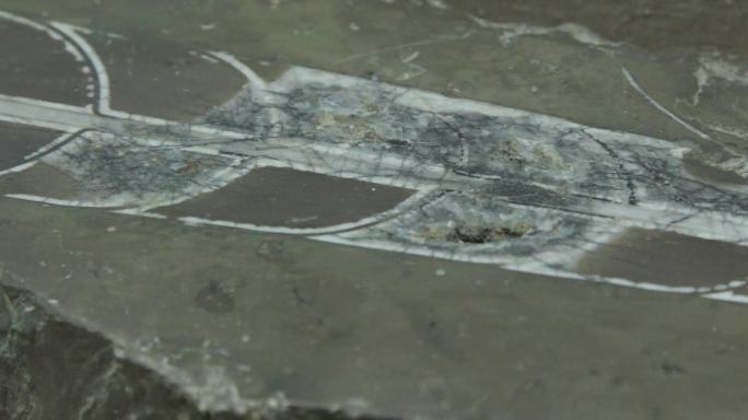 史前生物古化石