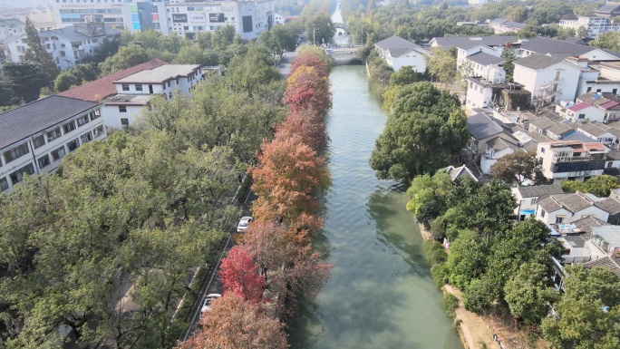 【空镜素材】充满秋意的道路 秋天