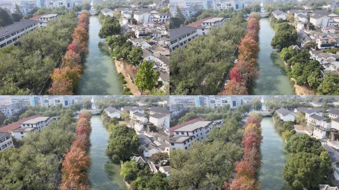 【空镜素材】充满秋意的道路 秋天