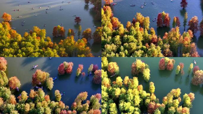 航拍杭州青山湖水上森林公园（合集）