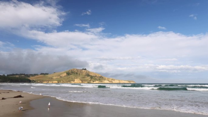 新西兰南岛沙滩