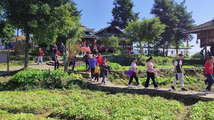 游客清晨阳光苗寨旅游青山绿水行走苗寨乡间