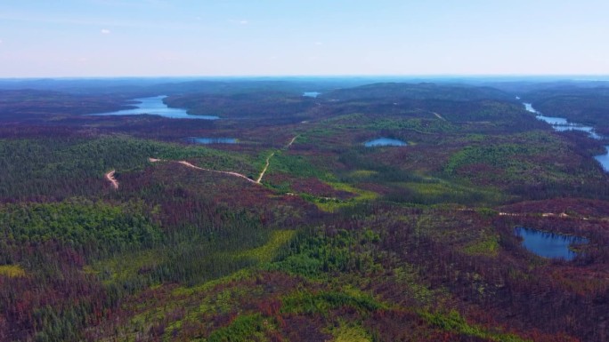 在加拿大经历了严重的野火年之后，直升机拍摄的数千英亩烧焦的森林