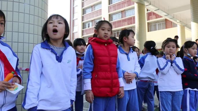 阳光 体育 小学 运动会 深圳 体育运动