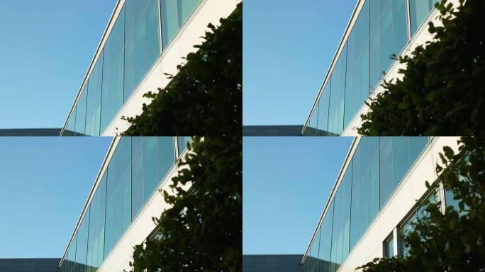 现代建筑的弧形玻璃立面靠近绿色自然元素的动物群。