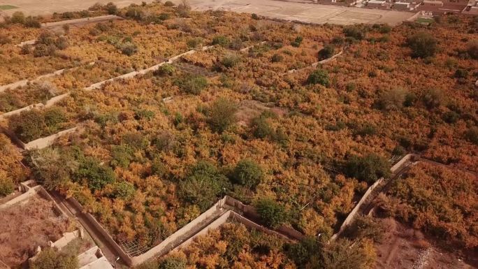 在伊朗亚兹德阿克达阿达坎市的一个石榴园着陆的空中无人机拍摄的历史房屋，传统的生活方式，当地人民农业道