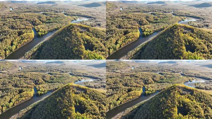 北纬50°冻土森林与河流秋景