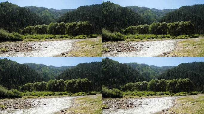 流经森林的河流河流空镜水流特写地下水源