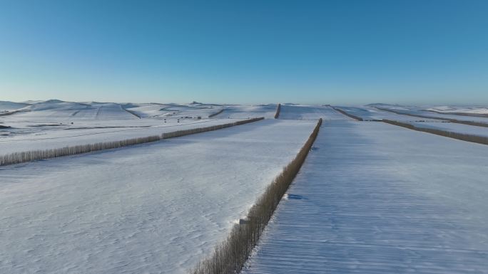 北方冬季田野风景雪景