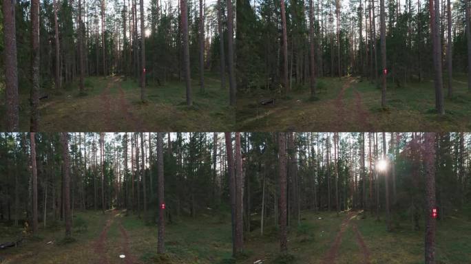 动态无人机拍摄美丽的森林与光盘高尔夫游戏
