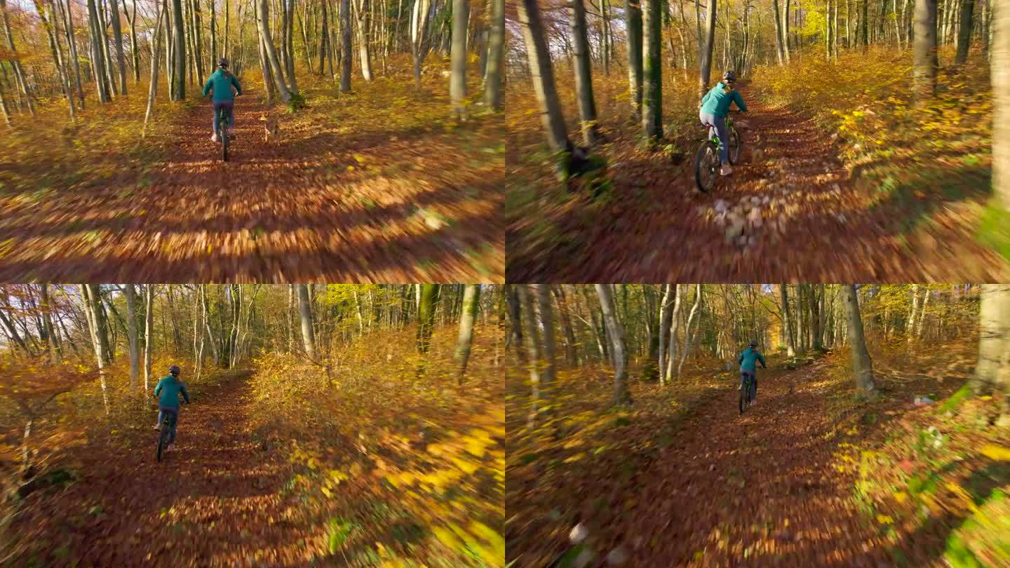 航拍:一名女骑手在一只狗的陪伴下穿过色彩缤纷的秋天森林